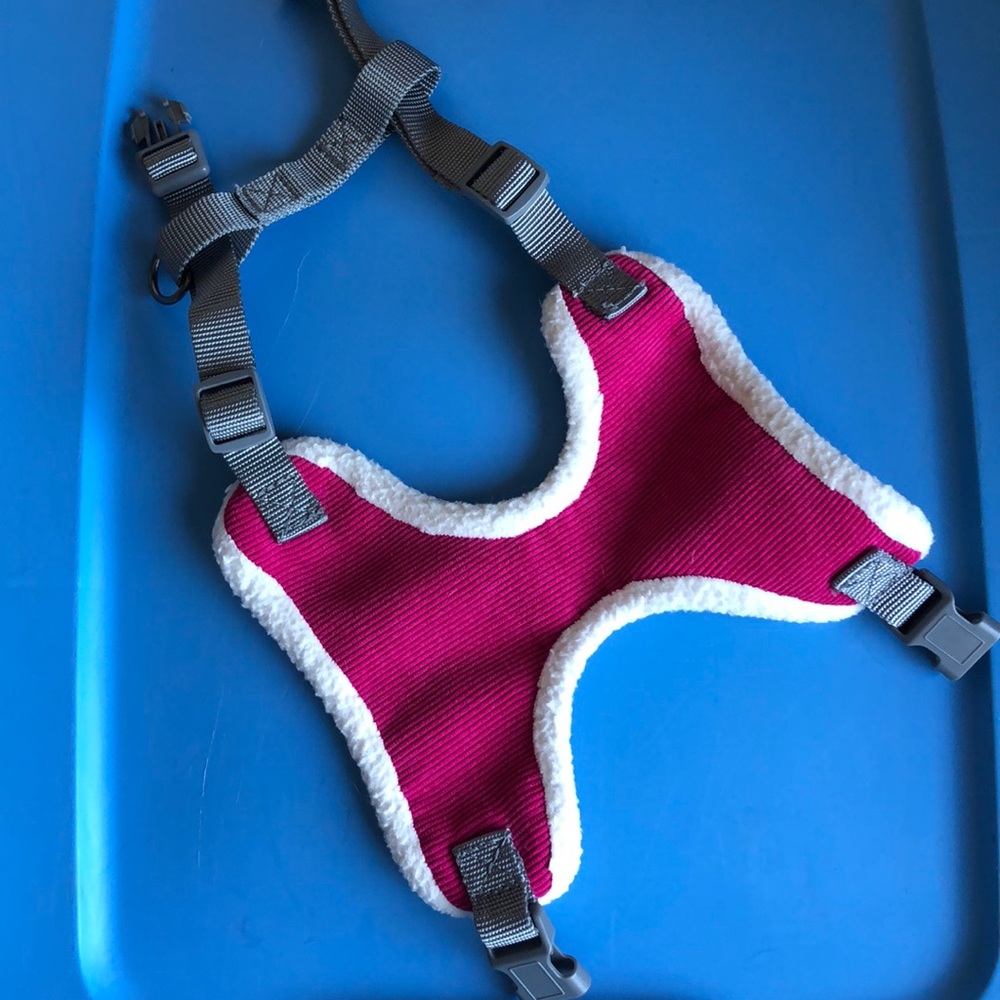Small Dog Fleece Harness Sz S